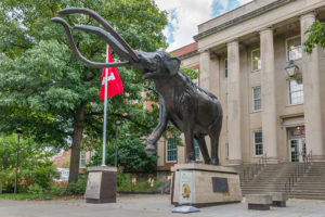 MyLivingChoice Archie the Mammoth University of Nebraska Campus