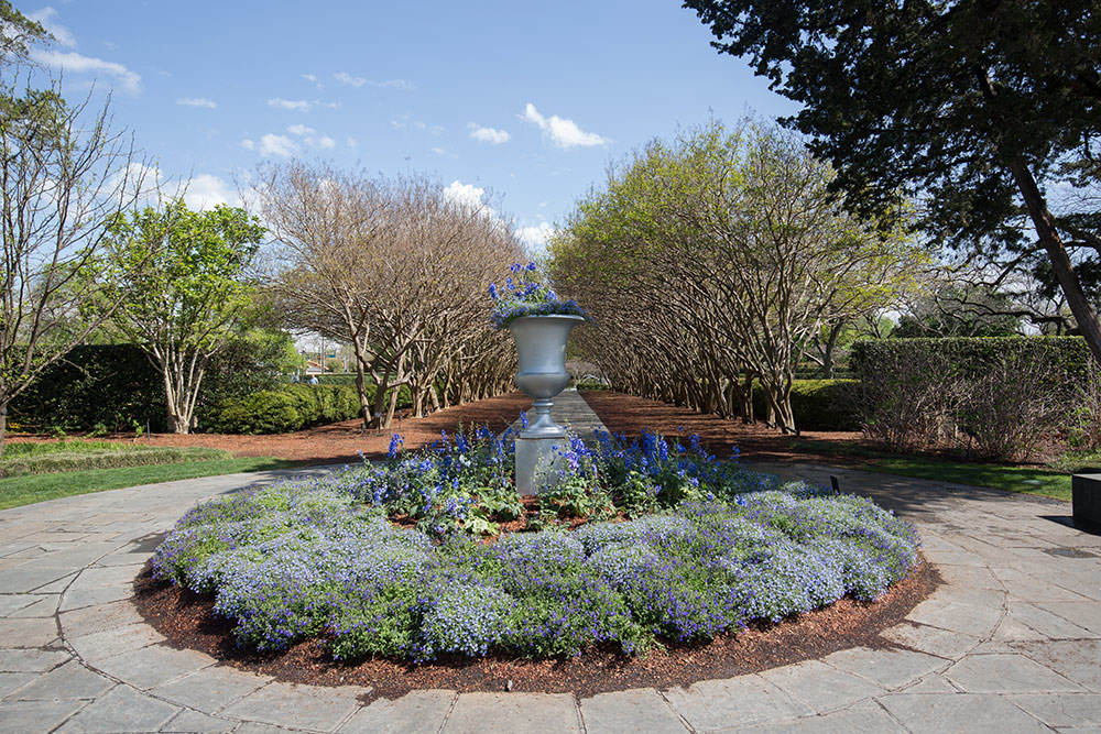Fountain with flowers around it at Dallas Arboredum and Botanical Garden
