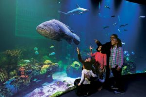 Photo: SpringfieldMO.org Family at Wonders of Wildlife 